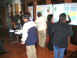 Workshop participants voting.